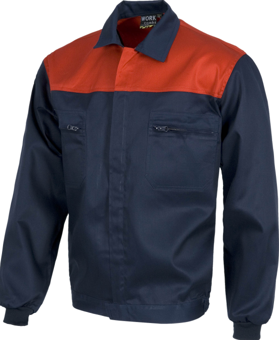 BI KOLOREKO JAKA WORKTEAM KOLOREA